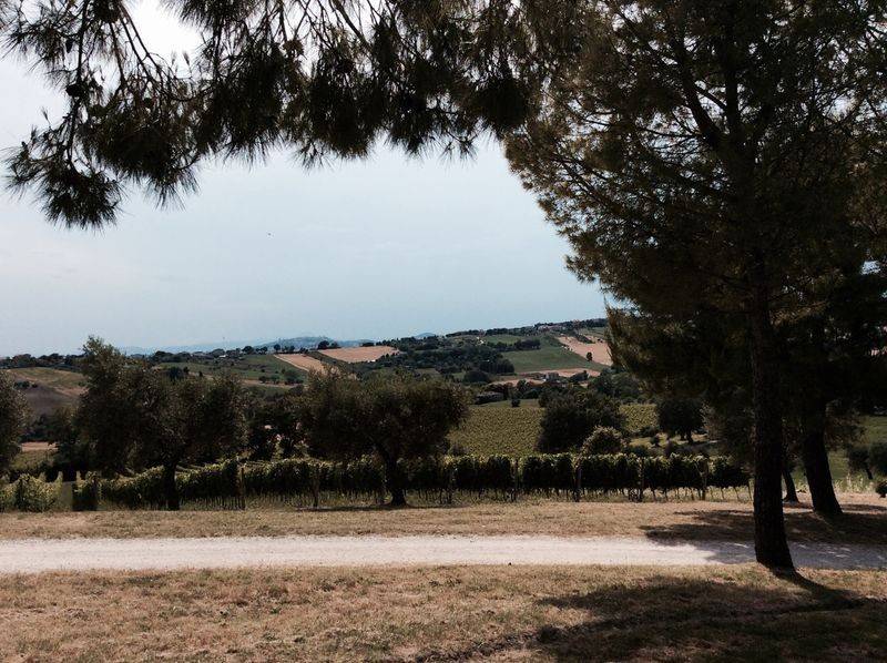 Rustico / casale a Sirolo - Foto 4