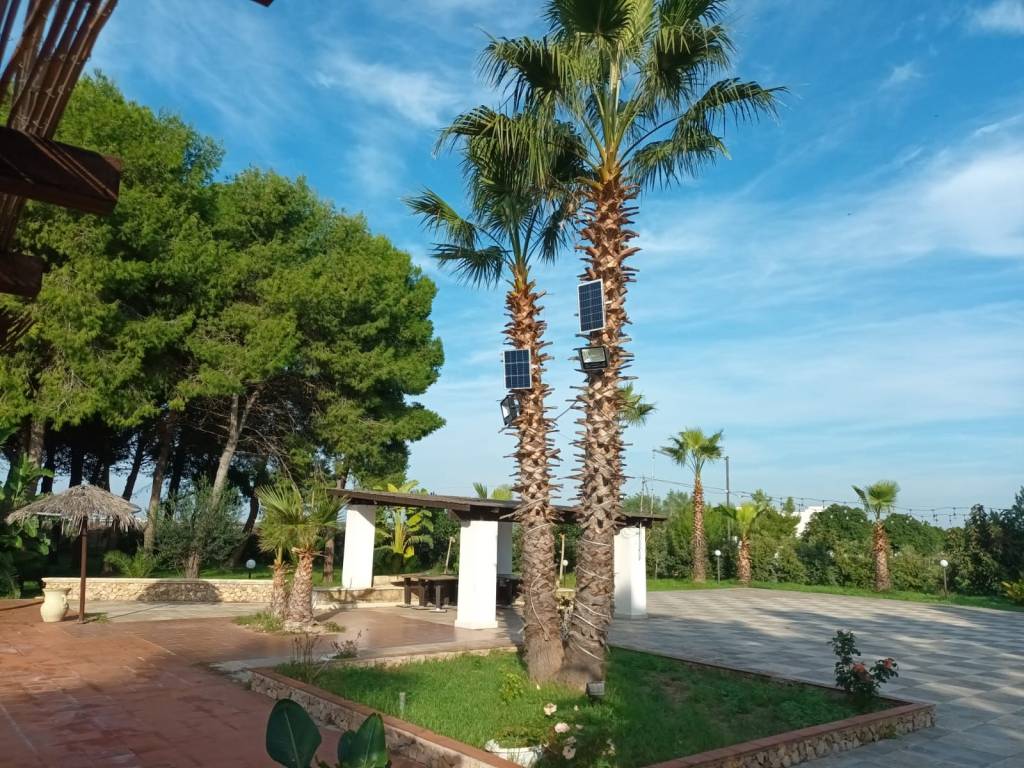 Immobile a Pulsano - Foto 2