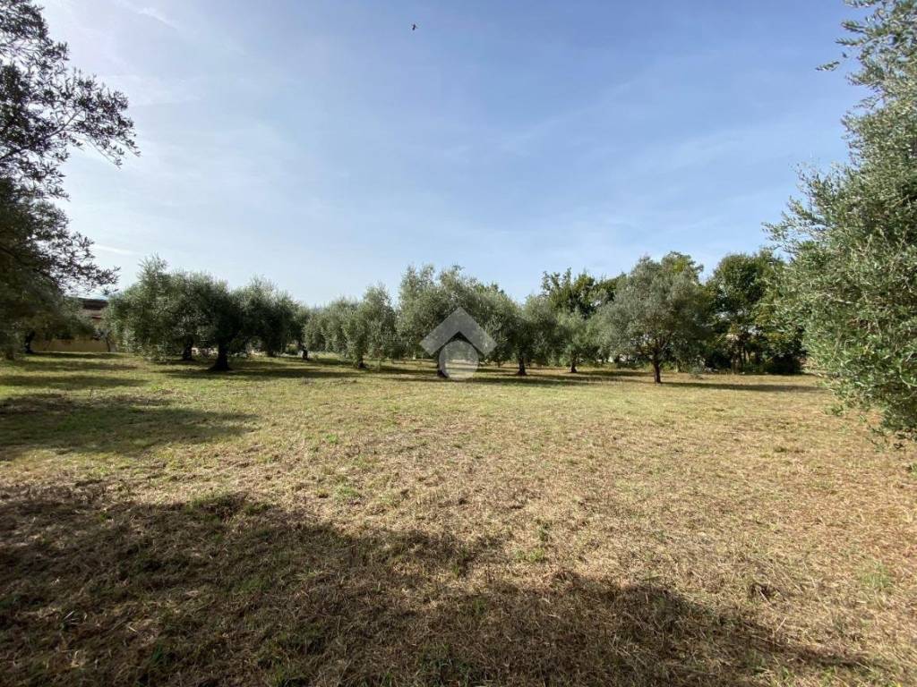 Terreno a Cassino in Via Santa Scolastica - Foto 3