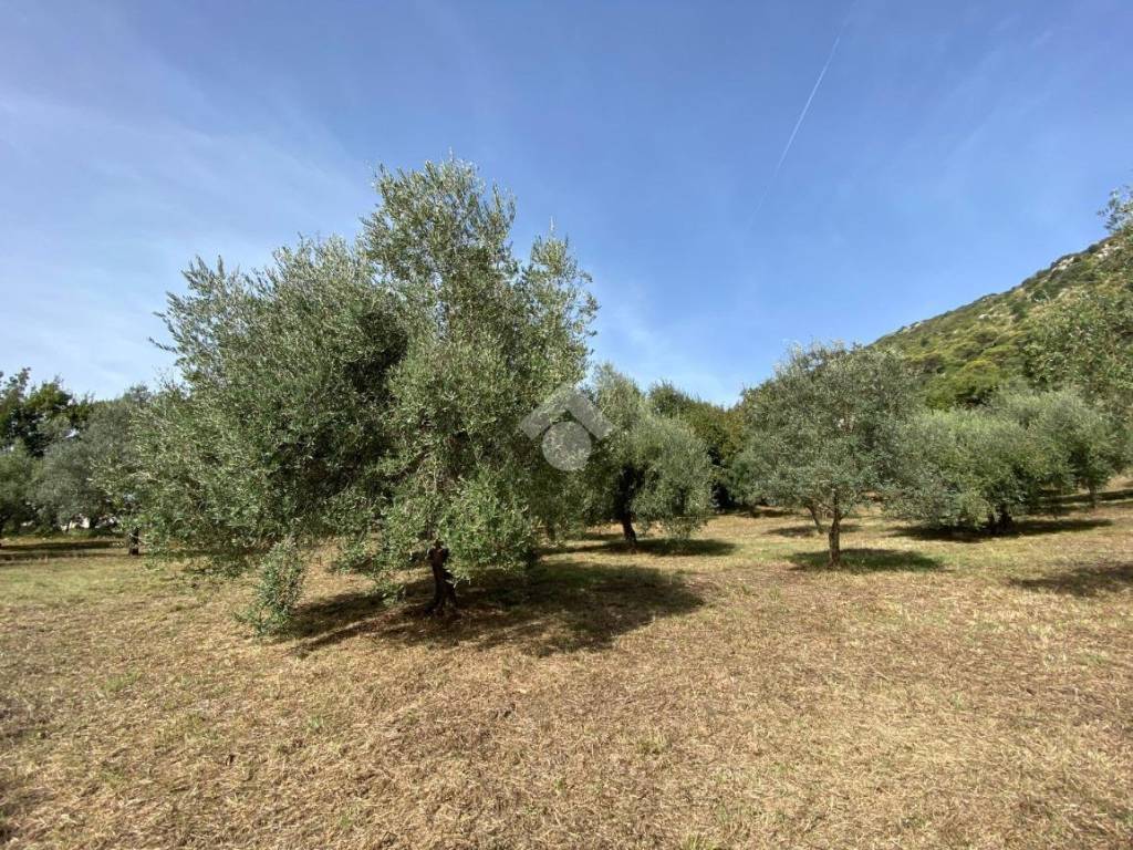 Terreno a Cassino in Via Santa Scolastica - Foto 4