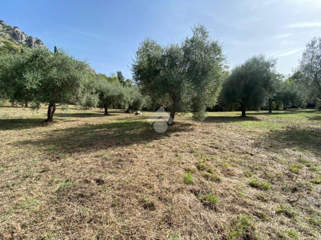 Terreno a Cassino in Via Santa Scolastica - Foto 5