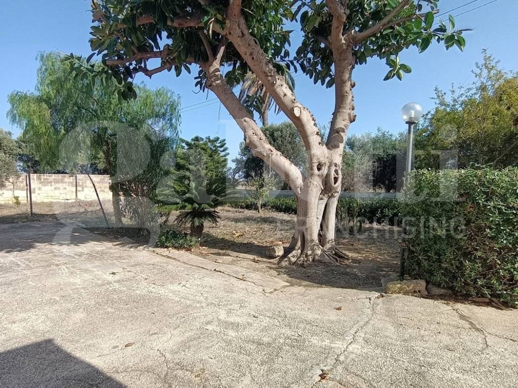 Casa indipendente a Paceco in Via Garibaldi , 125 - Foto 3