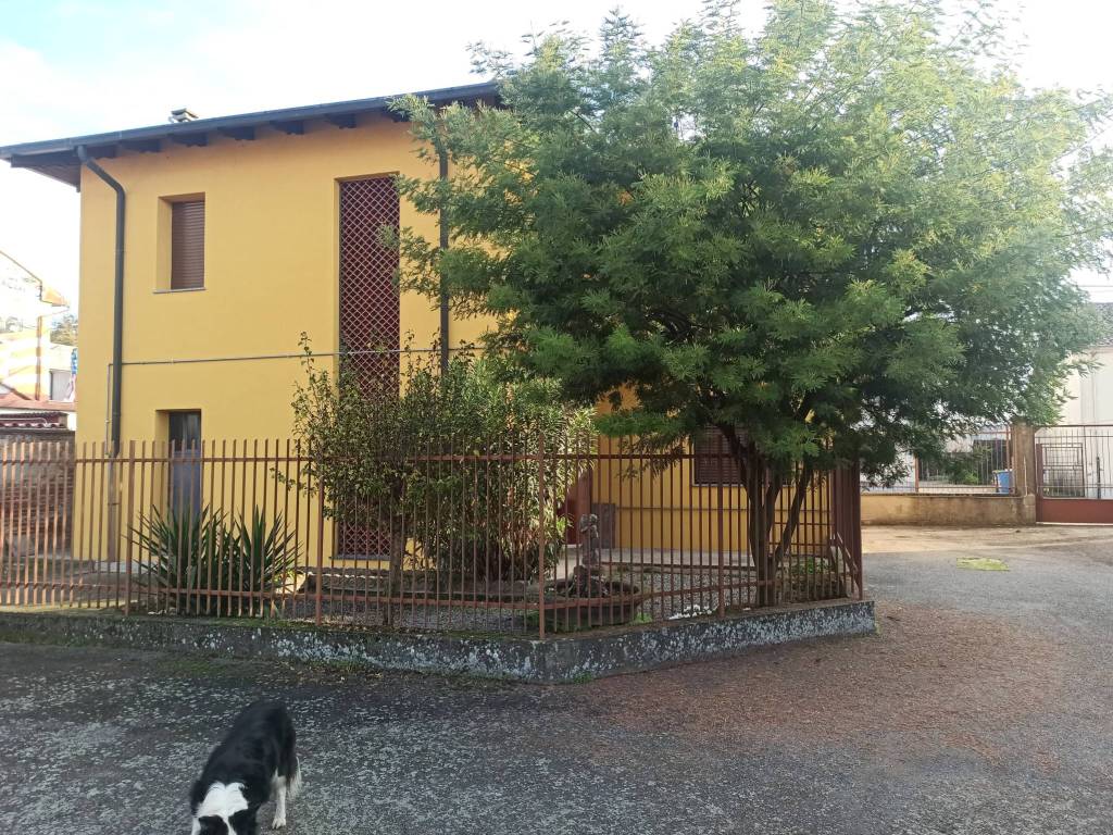 Villa a Oldenico in Via Provinciale, 12 - Foto 3