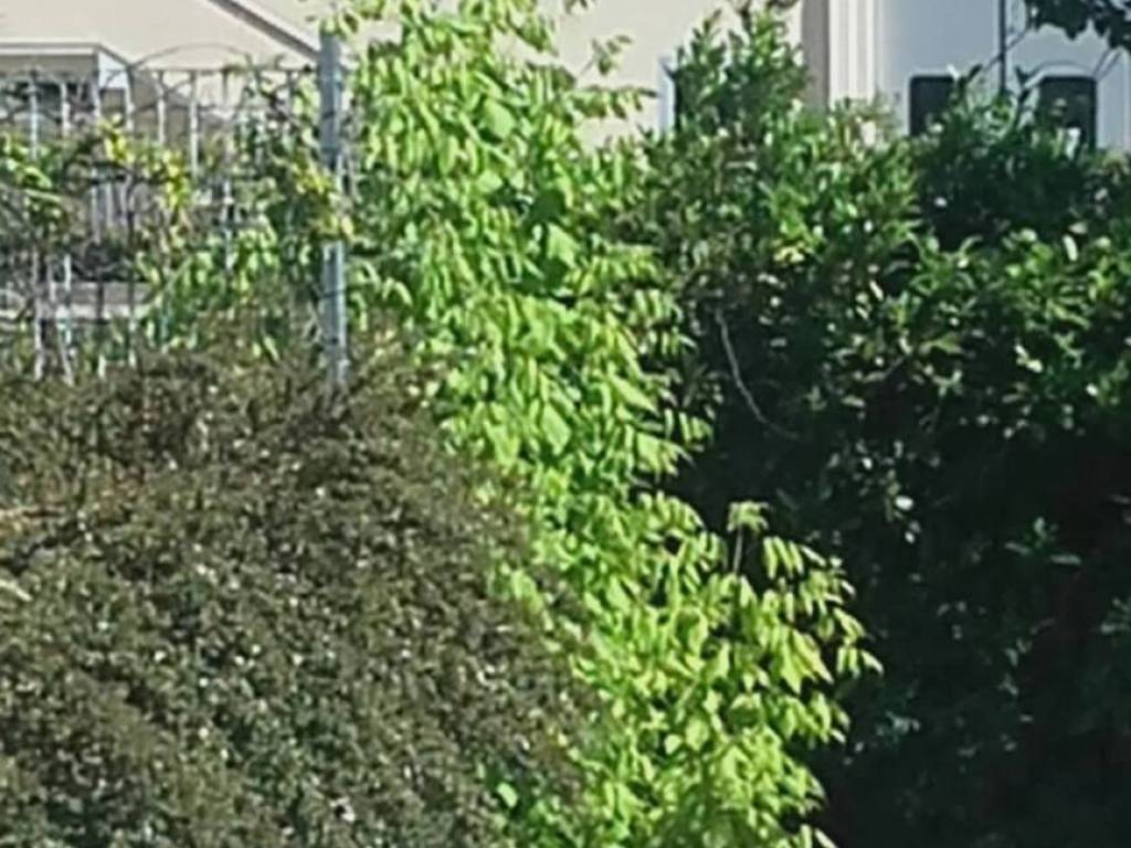 Immobile a Spoltore - Foto 2