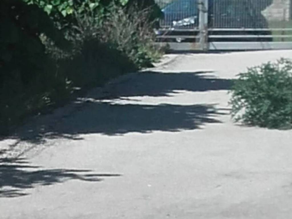 Immobile a Spoltore - Foto 4