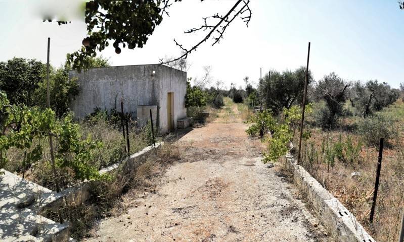 Terreno a Salve - Foto 5
