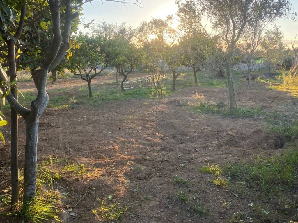 Terreno a Alezio in Strada Vicinale Pirielli - Foto 2
