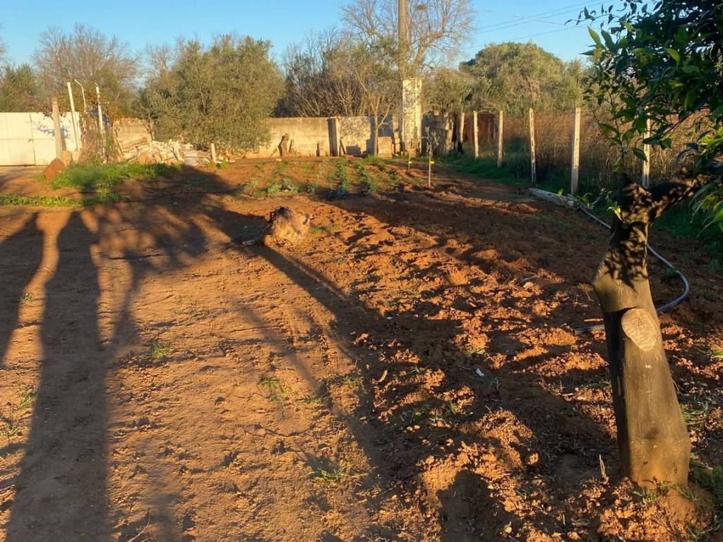 Terreno a Alezio in Strada Vicinale Pirielli - Foto 3