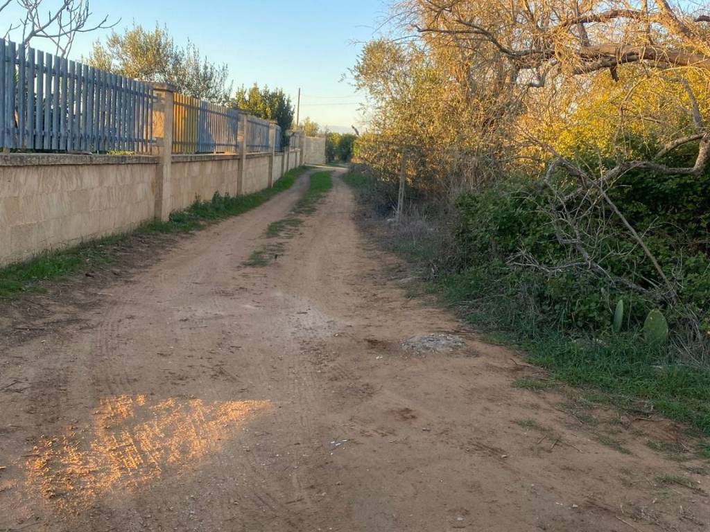 Terreno a Alezio in Strada Vicinale Pirielli - Foto 5