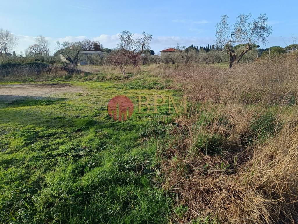 Terreno a Castagneto carducci in Via Napoli, 46 - Foto 4