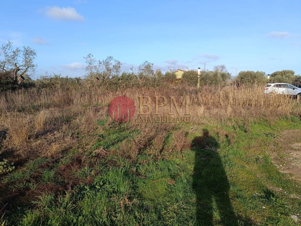 Terreno a Castagneto carducci in Via Napoli, 46 - Foto 5
