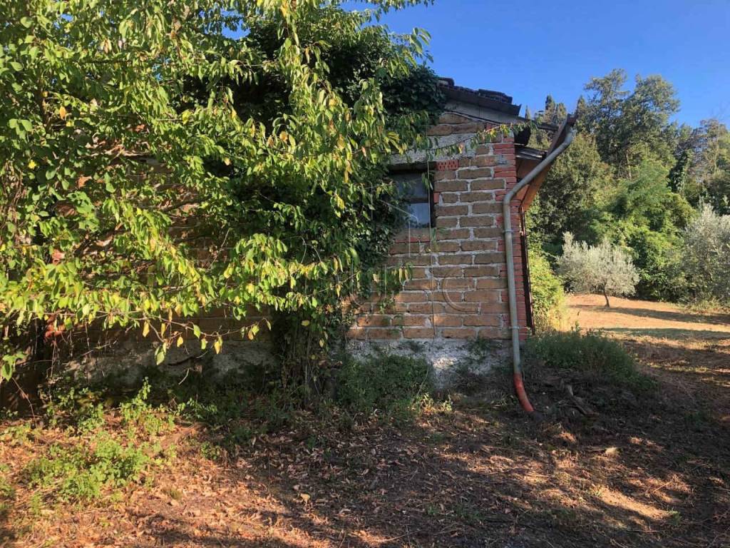 Rustico / casale a Monte santa maria tiberina in Ranzola - Foto 4