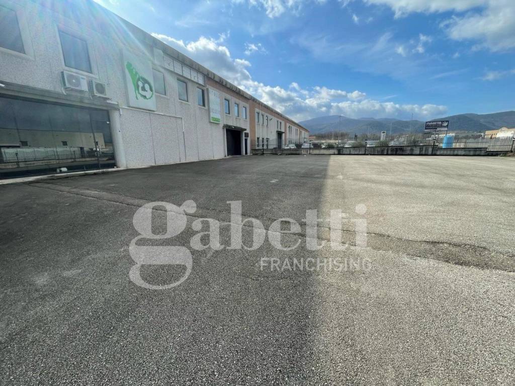 Immobile a Dragoni in Strada Provinciale 330, snc - Foto 2