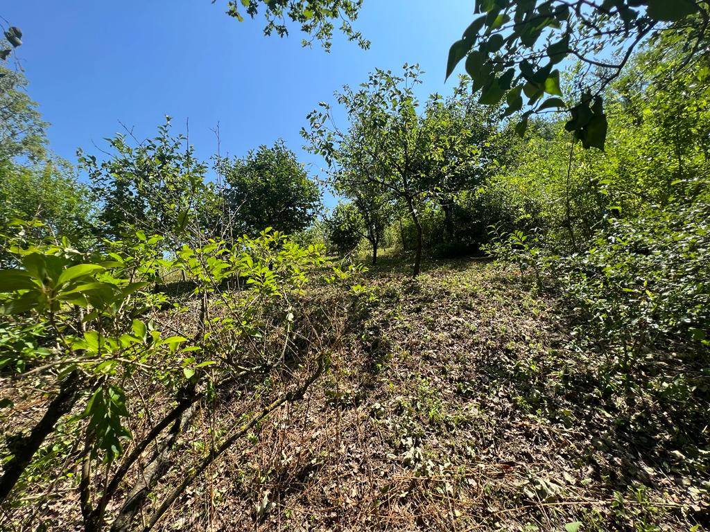 Terreno a Corneliano d'alba in Strada Circonvallazione - Foto 2