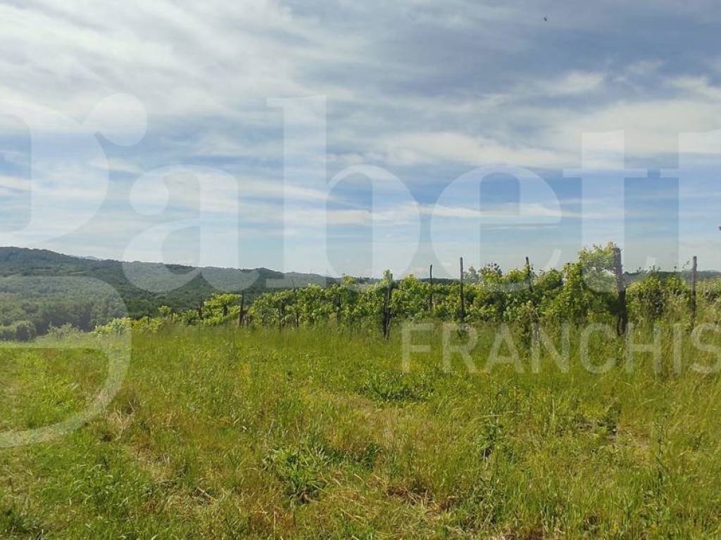 Terreno a Alife in Via Totari , 10 - Foto 4