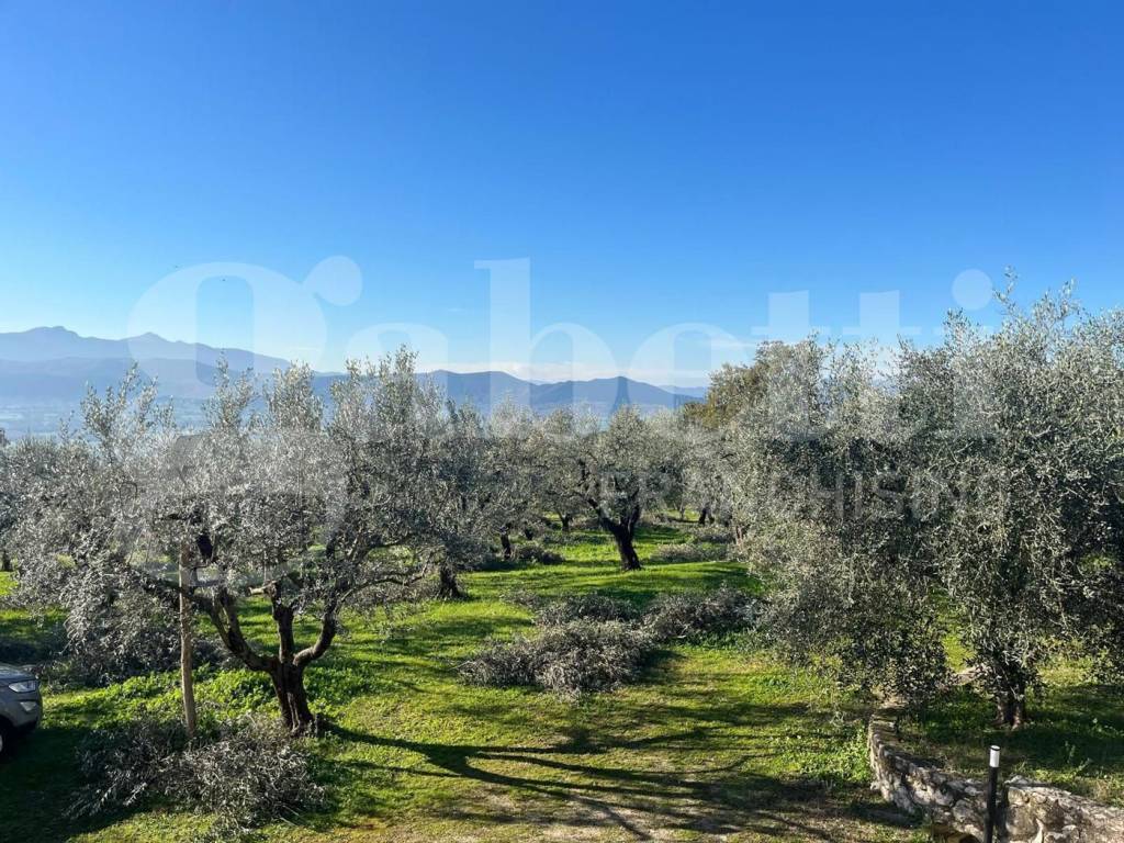 Villa a Alife in Via Vallenetta, snc - Foto 5
