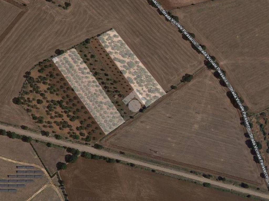 Terreno a Gioia del colle in Strada Vicinale Parasacco - Foto 4