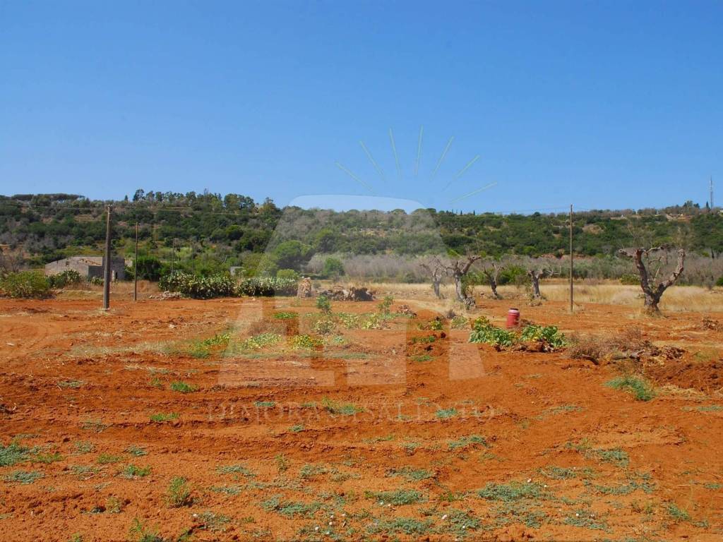 Terreno a Alessano in Contrada Boceti - Foto 2
