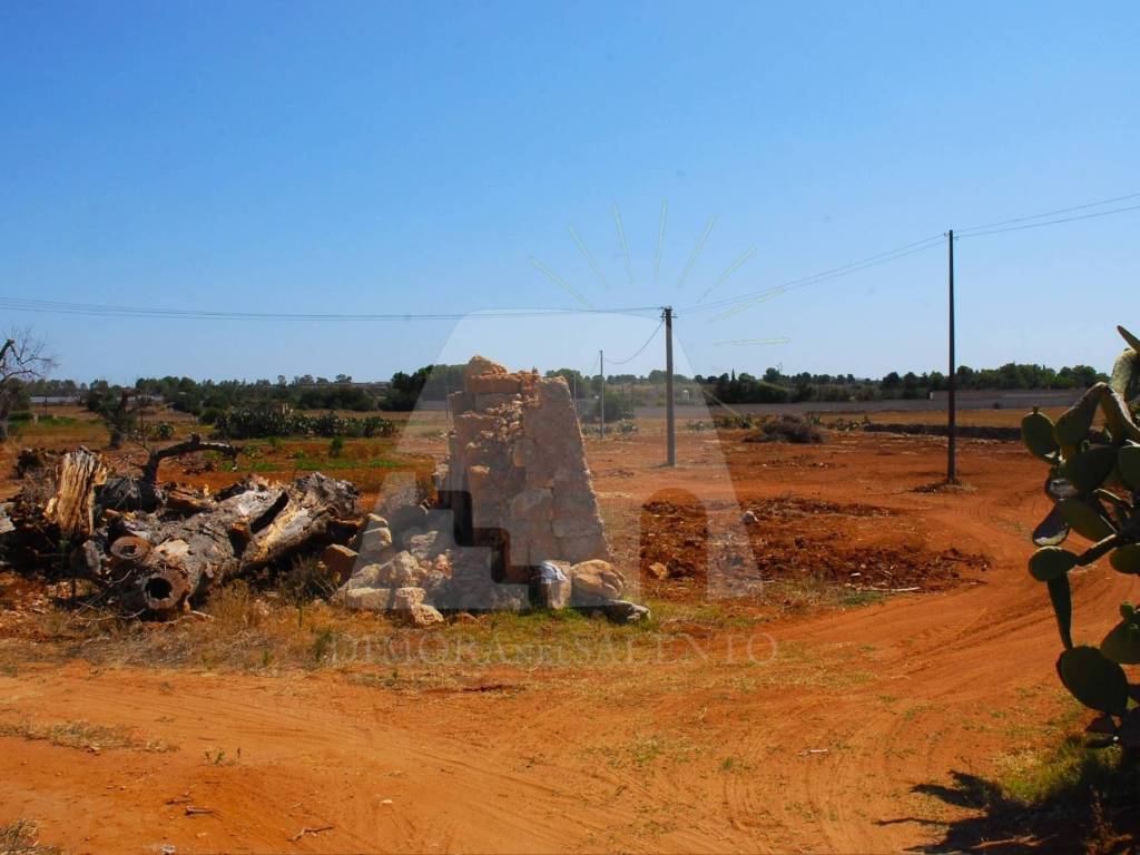Terreno a Alessano in Contrada Boceti - Foto 3