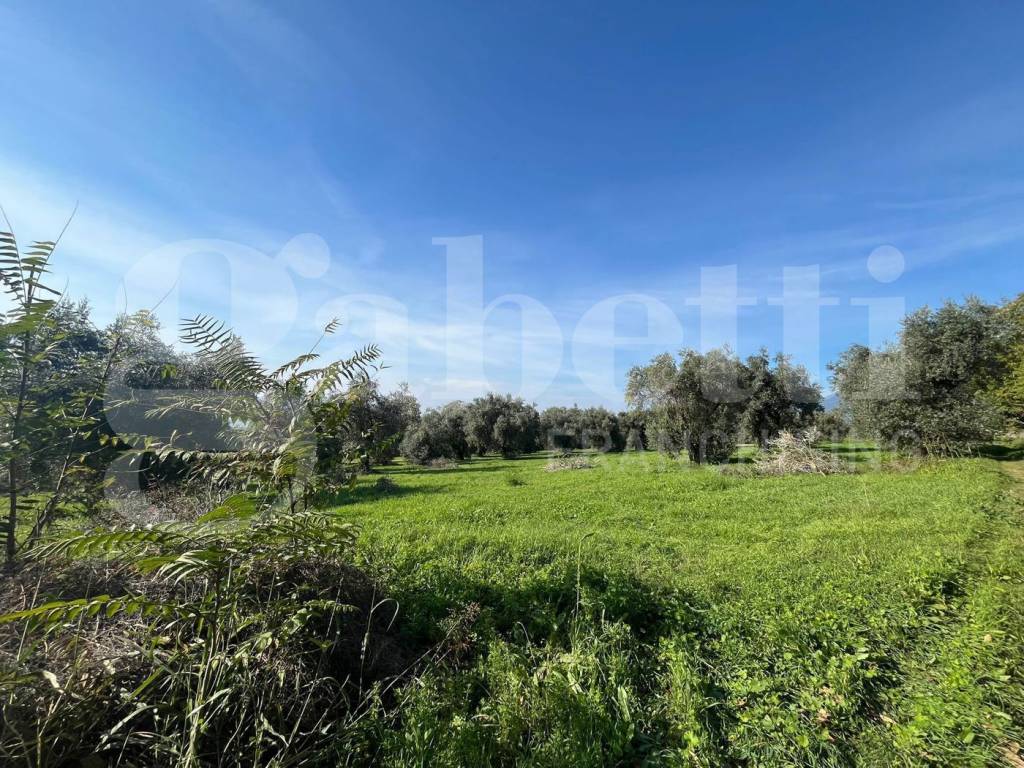 Terreno a San potito sannitico in Via Starze, 18 - Foto 2
