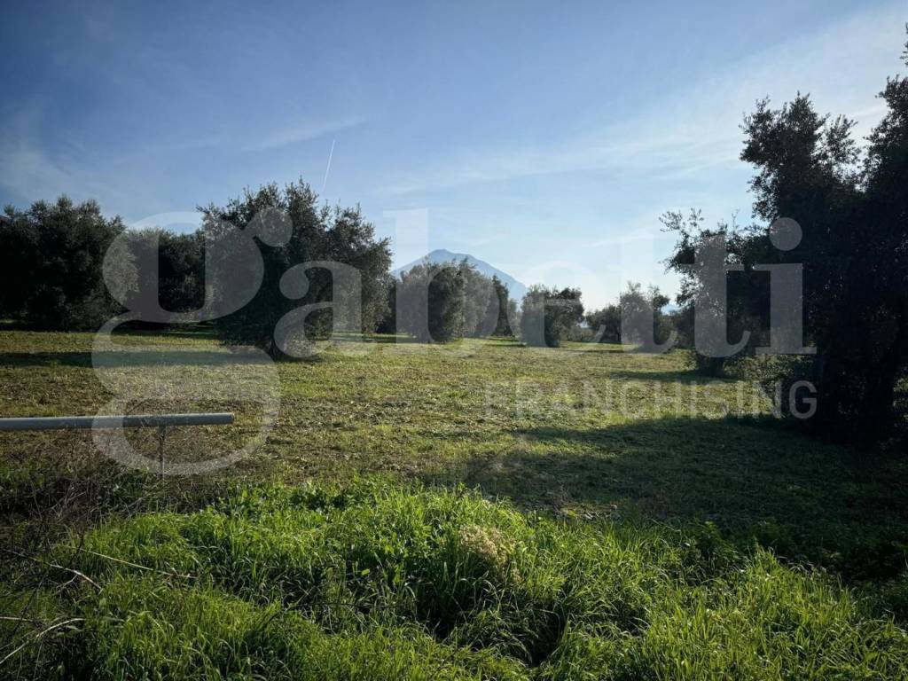 Terreno a San potito sannitico in Via Starze, 18 - Foto 4