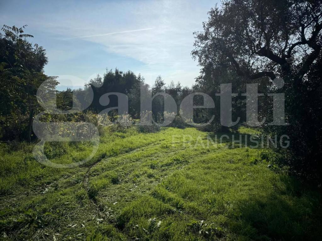 Terreno a San potito sannitico in Via Starze, 18 - Foto 5