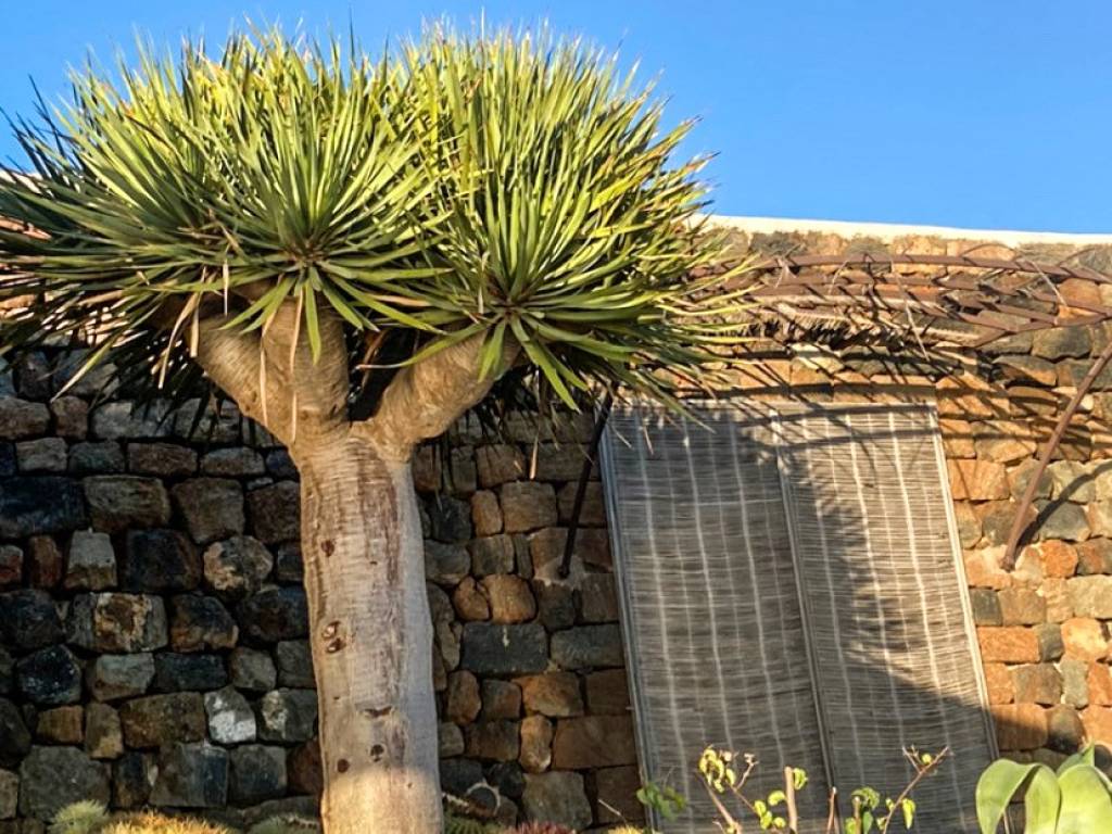 Villa a Pantelleria in Via Scirafi - Foto 3