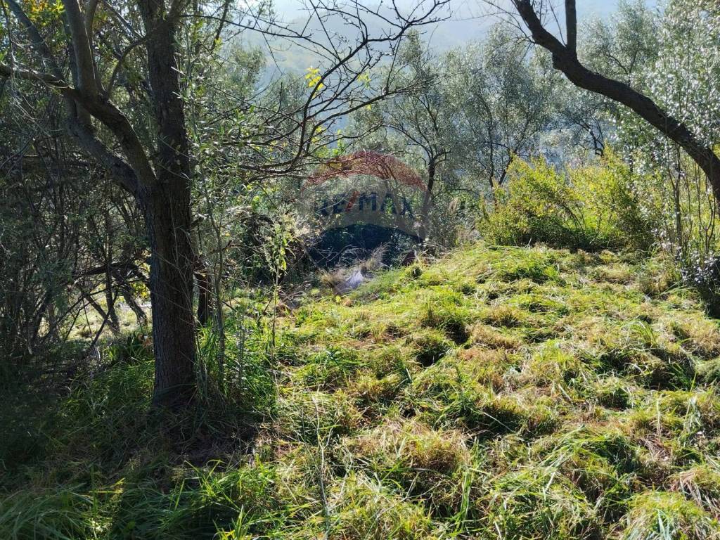 Terreno a Vado ligure in Via Gavotti - Foto 2