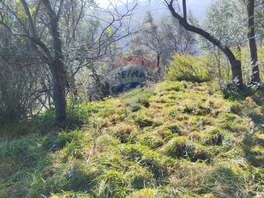 Terreno a Vado ligure in Via Gavotti - Foto 4