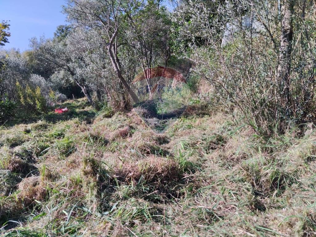 Terreno a Vado ligure in Via Gavotti - Foto 5