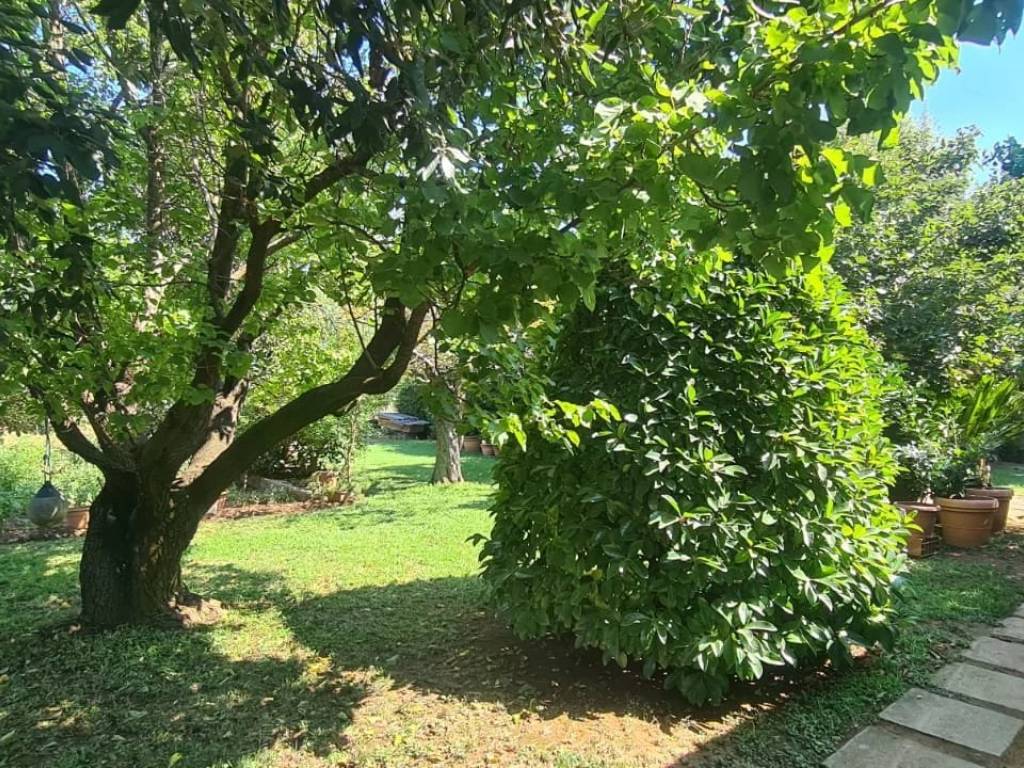 Terreno a Piombino - Foto 3