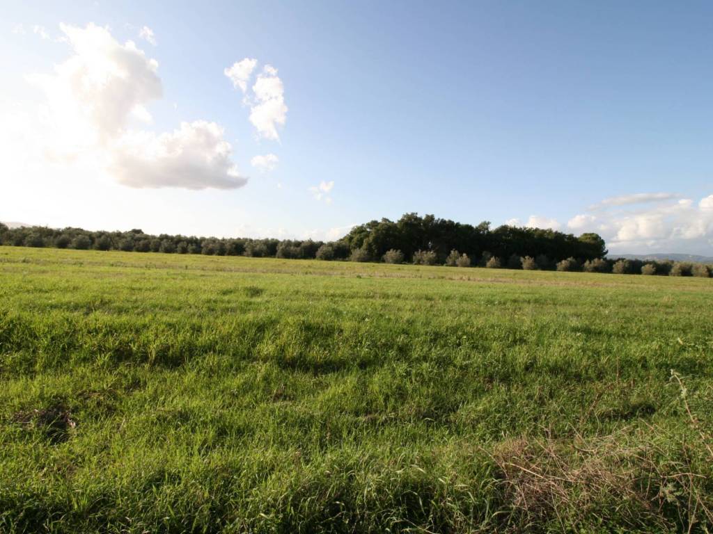 Rustico / casale a Roccastrada in via delle selvacce - Foto 5