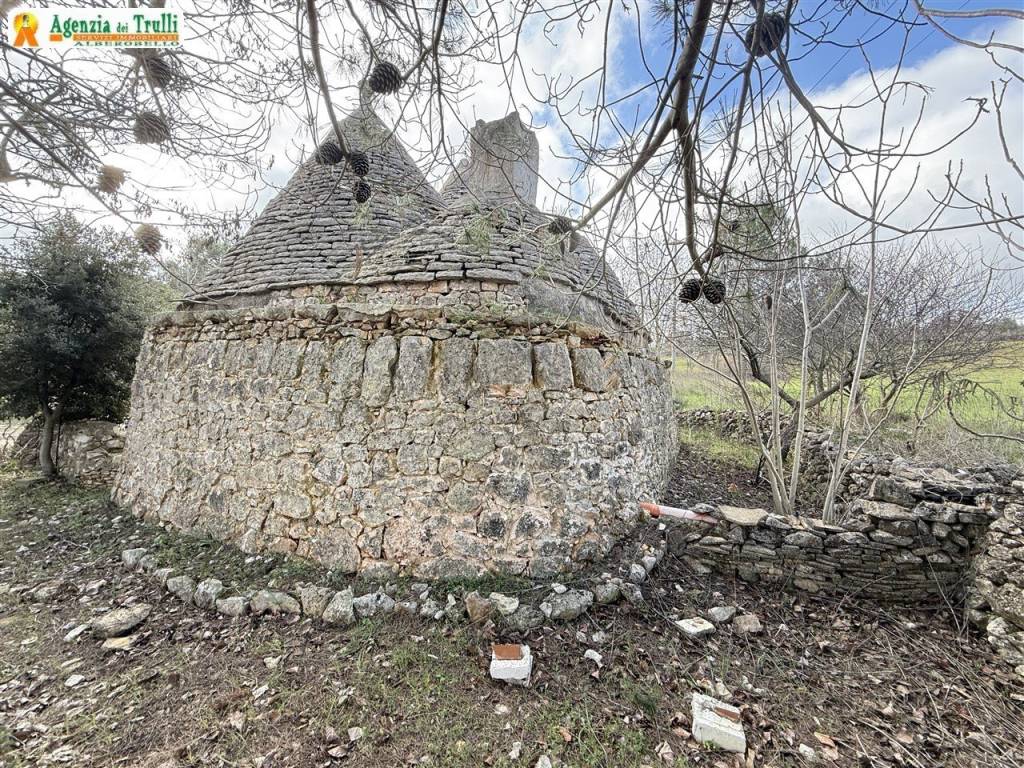 Rustico / casale a Martina franca - Foto 5