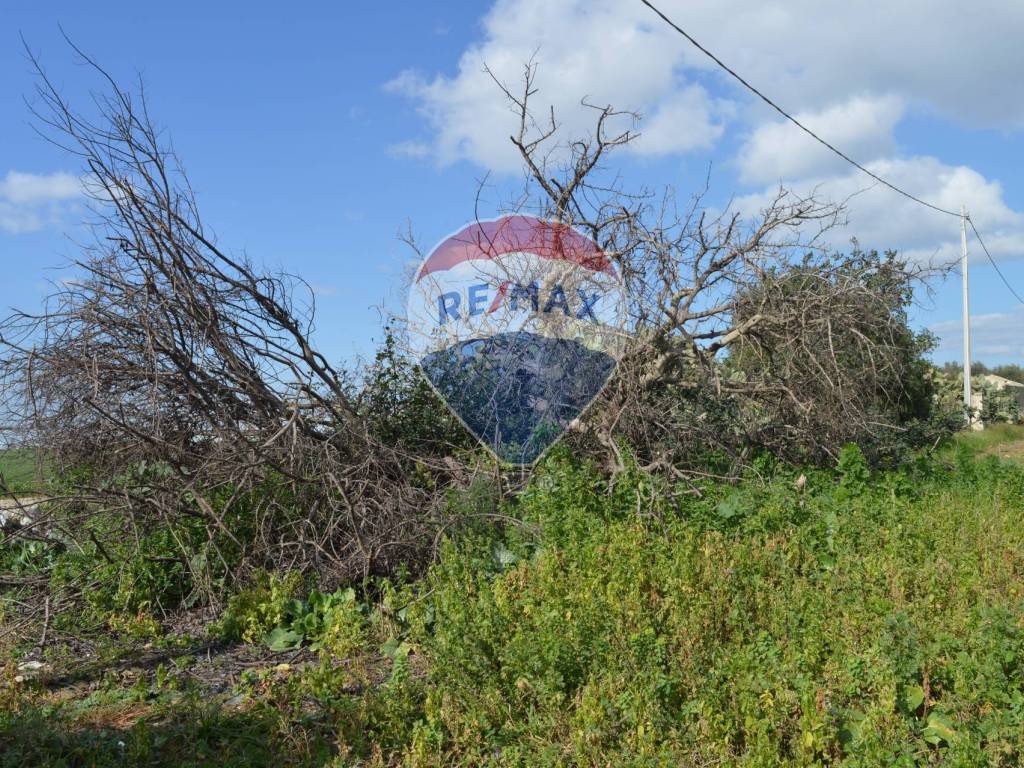 Terreno a Pachino - Foto 3