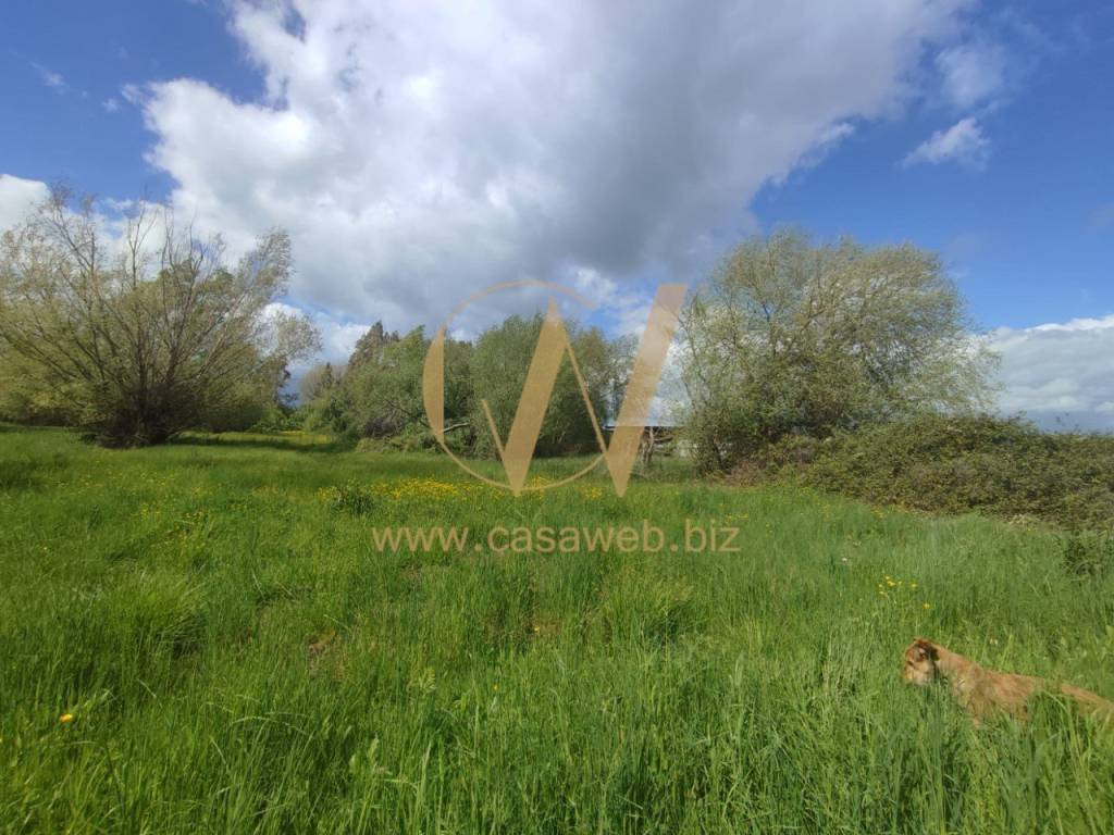 Terreno a Cellole in Strada Provinciale Pietre Bianche - Foto 2