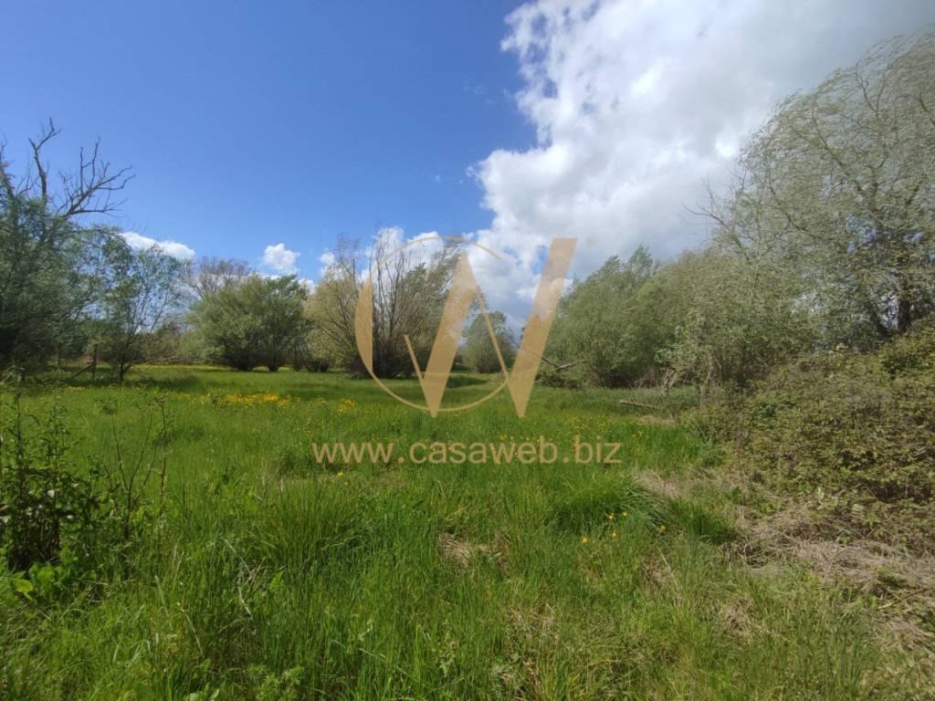 Terreno a Cellole in Strada Provinciale Pietre Bianche - Foto 3