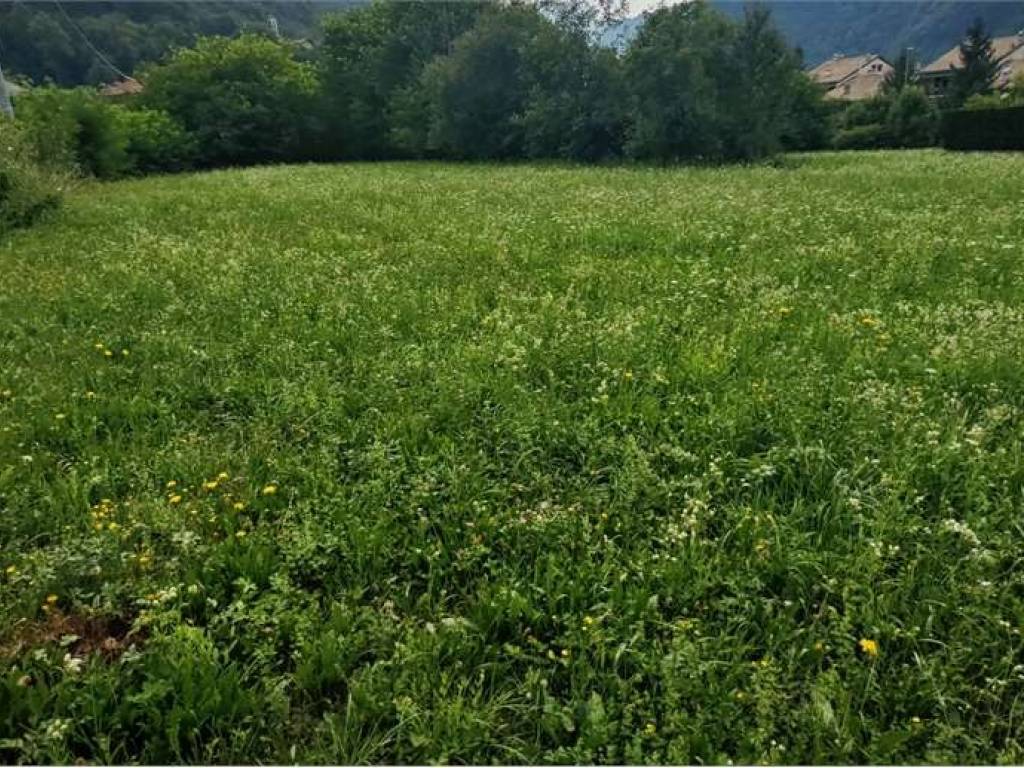 Terreno a Introbio in Via alla fucinetta - Foto 4