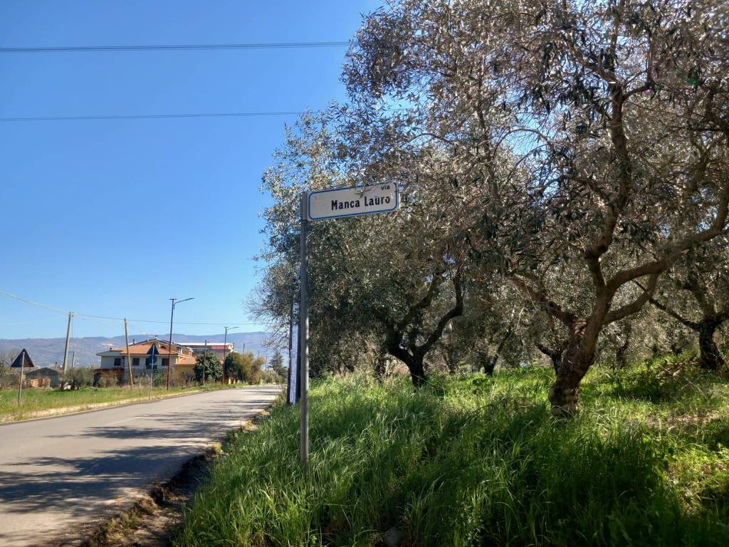 Terreno a Montalto uffugo in Via Manca Lauro - Foto 2