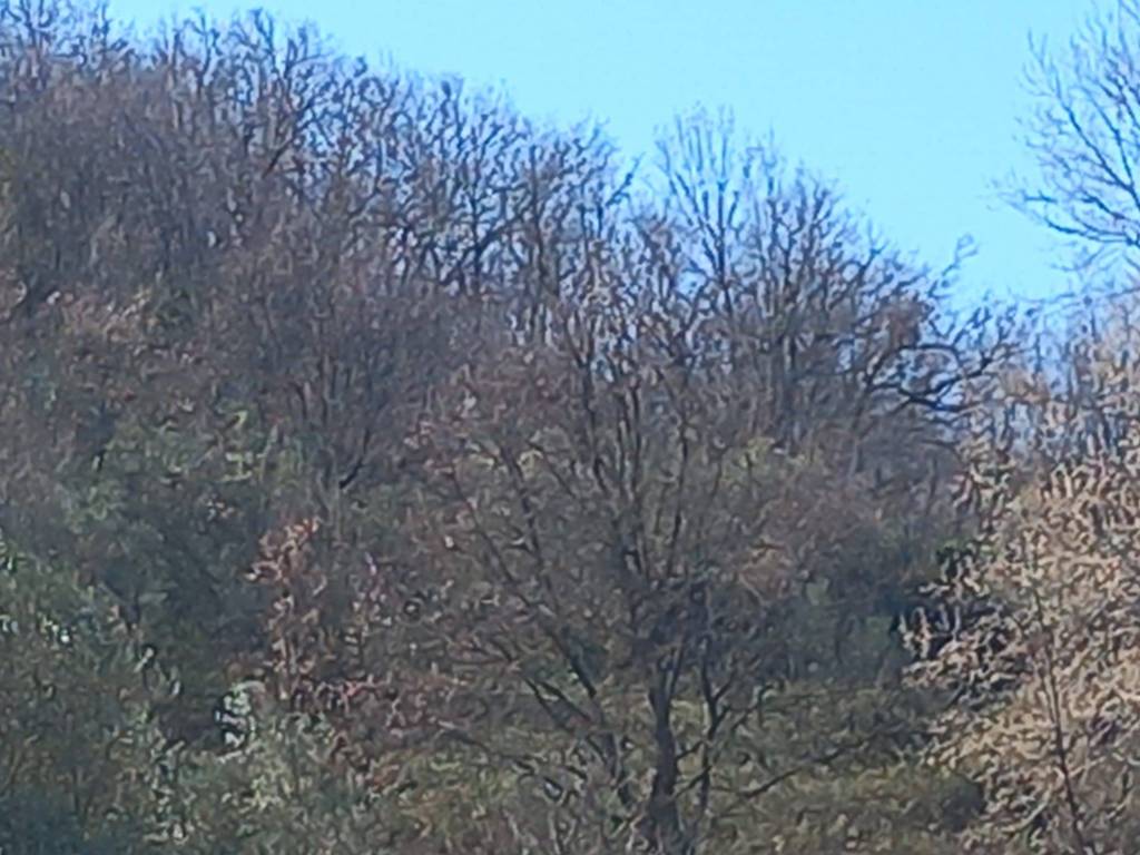 Terreno a Montalto uffugo in Via Manca Lauro - Foto 3