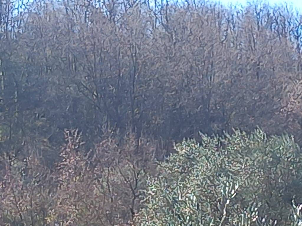 Terreno a Montalto uffugo in Via Manca Lauro - Foto 4