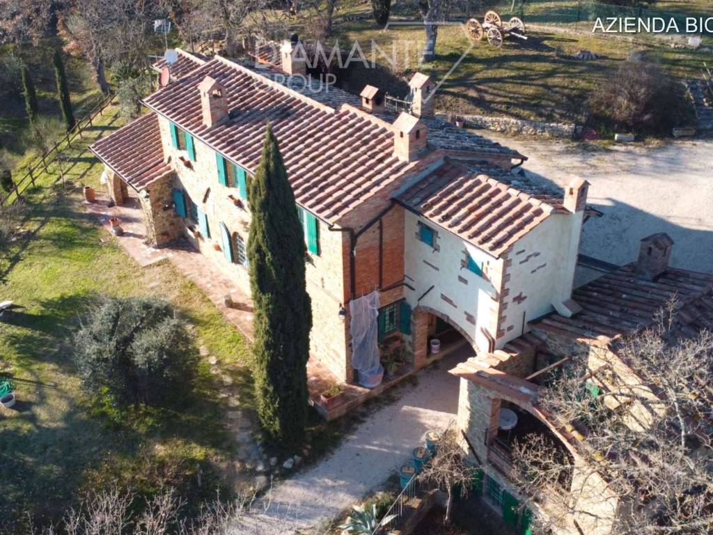 Rustico / casale a Città della pieve - Foto 3