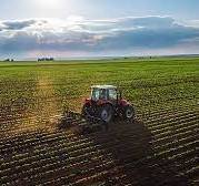 Terreno a Porto viro - Foto 3