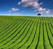 Terreno a Porto viro - Foto 4