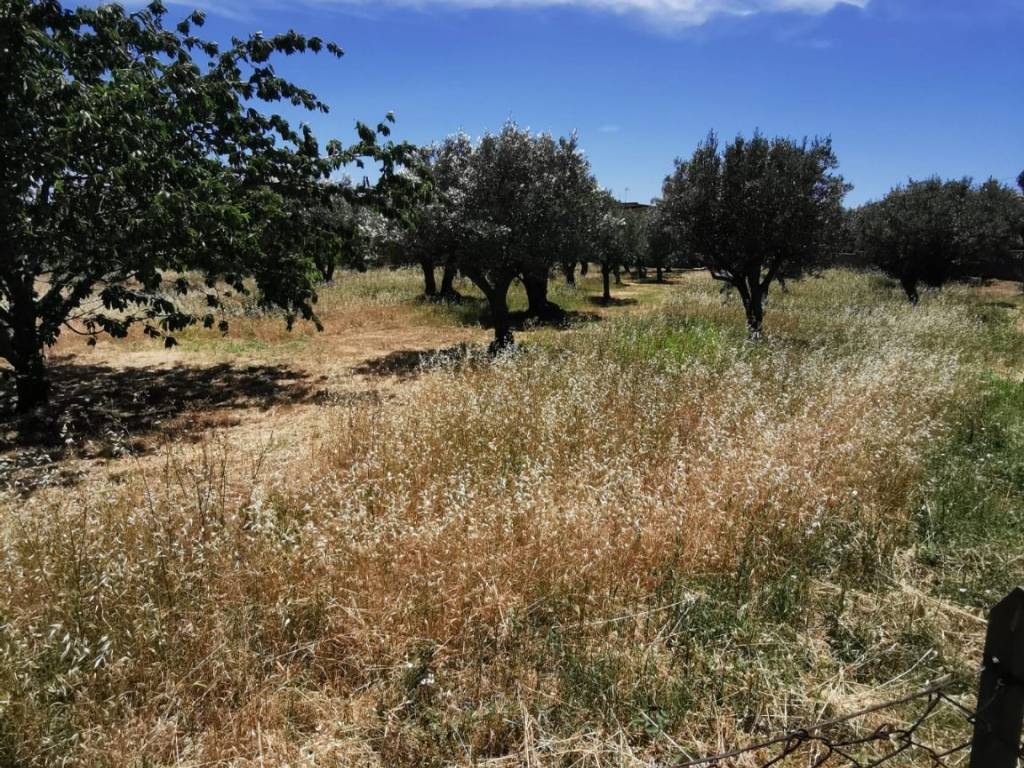 Terreno a Catanzaro in Via Tre Fontane - Foto 2