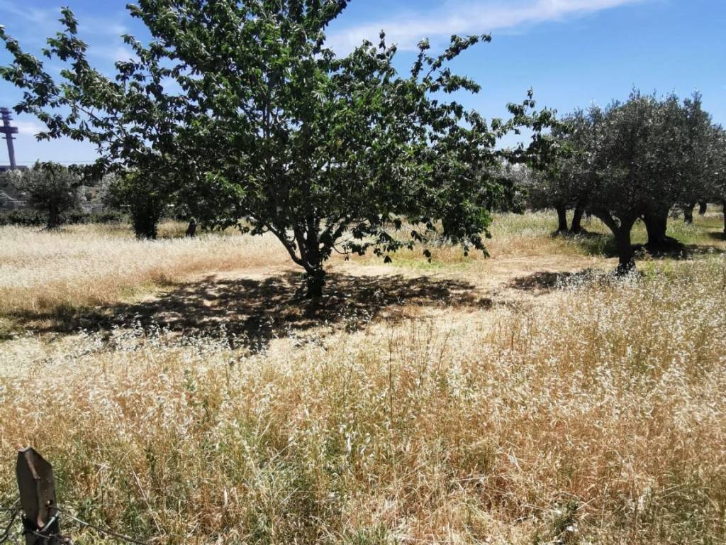 Terreno a Catanzaro in Via Tre Fontane - Foto 3