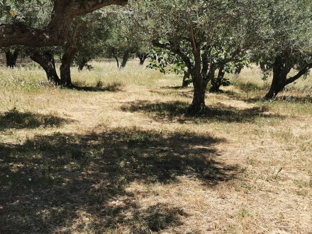 Terreno a Catanzaro in Via Tre Fontane - Foto 5
