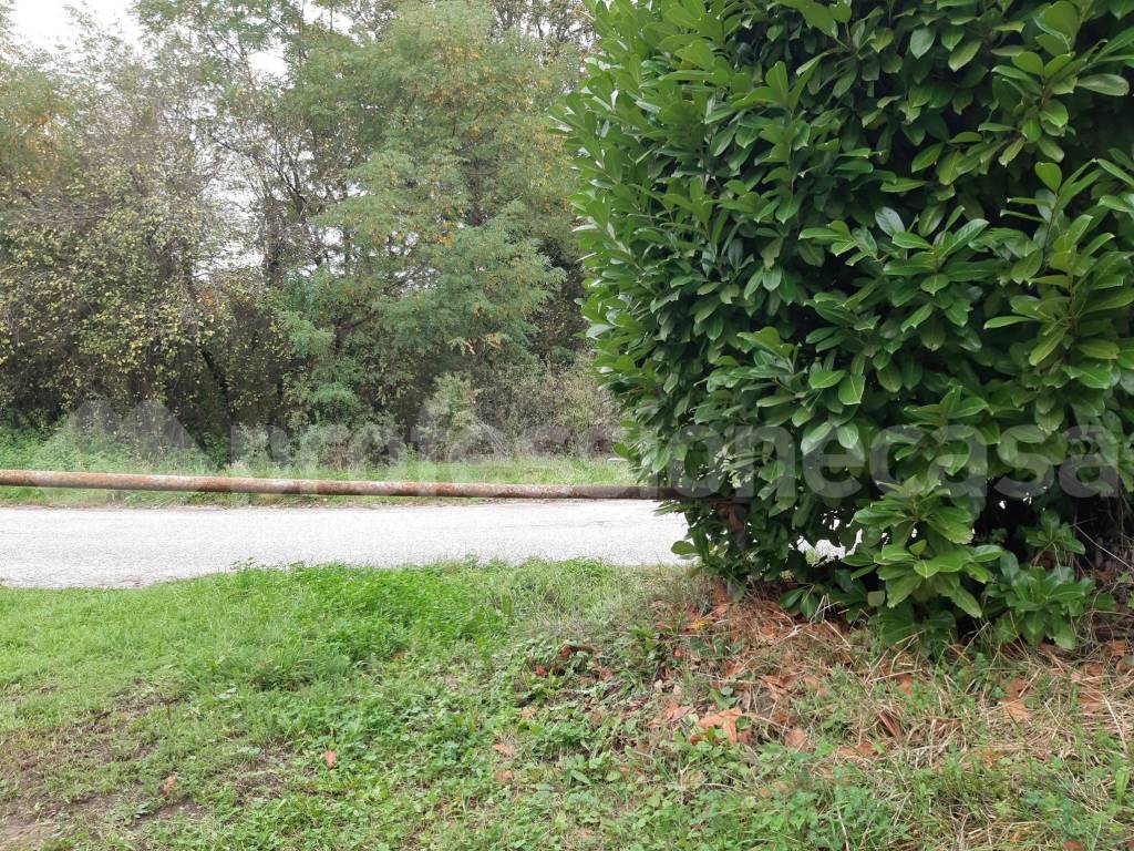 Immobile a San pietro avellana in Località Masseria di Cristo - Foto 2