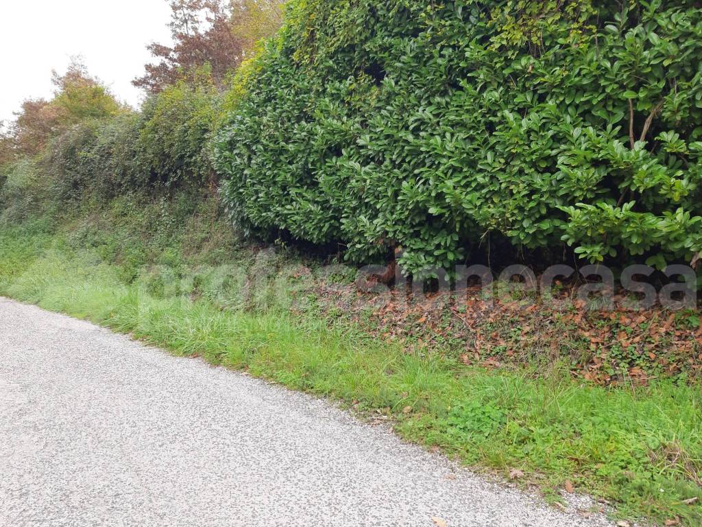 Immobile a San pietro avellana in Località Masseria di Cristo - Foto 3