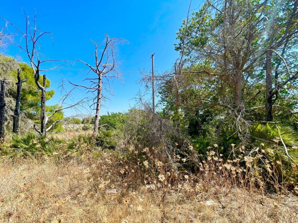Villa a Sogliano cavour in SP138 - Foto 5