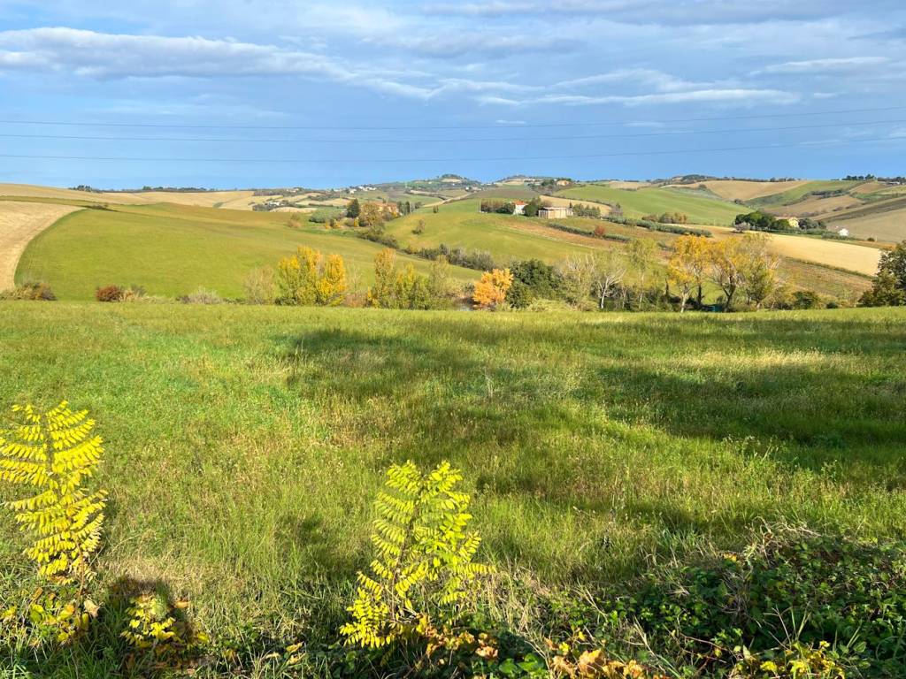 Terreno a Vallefoglia in Via dei Cipressi - Foto 2